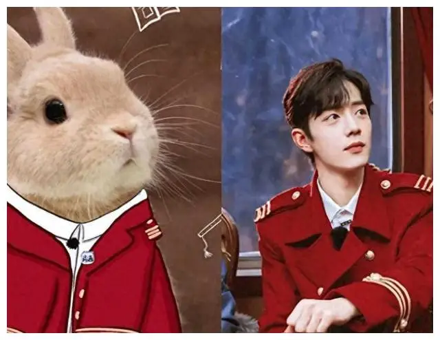 娱乐圈动物系明星排名_娱乐圈长得很像的明星_最迷人的猫系女神是谁