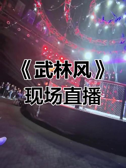 武林风直播在线观看，高清不卡顿格斗赛事观看指南